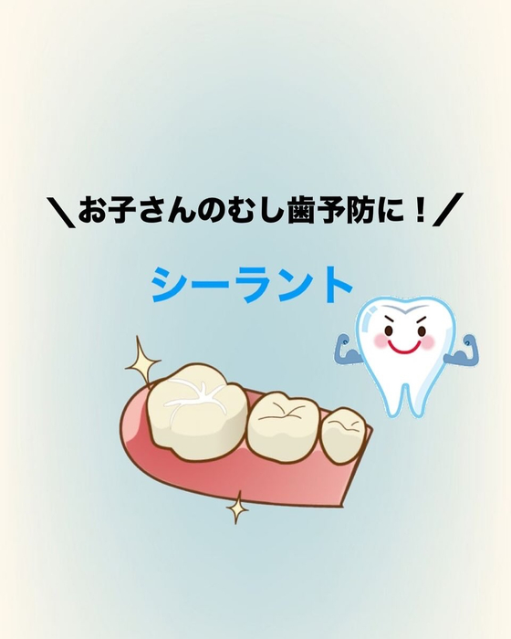 画像285