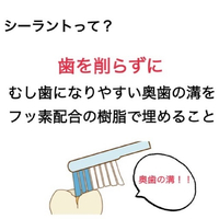 画像286