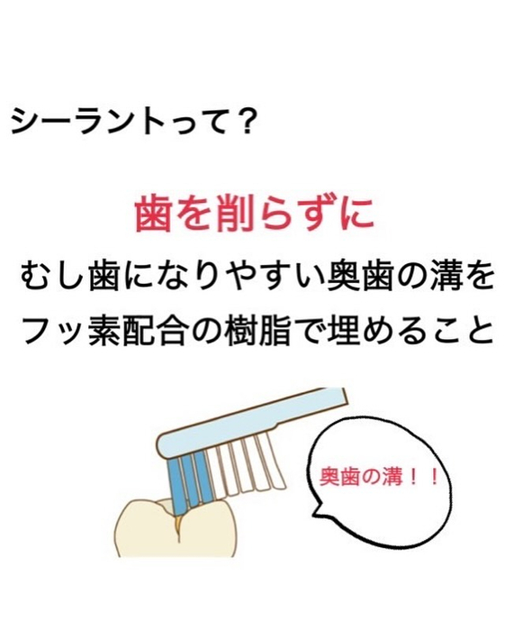 画像286