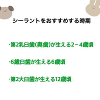 画像288