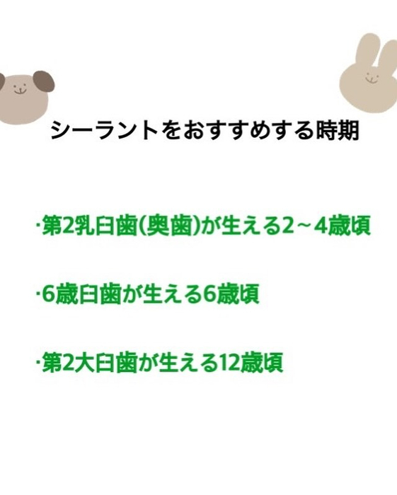 画像288