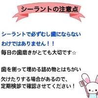 画像289