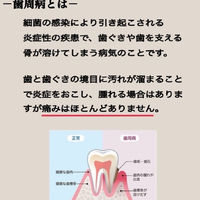画像298