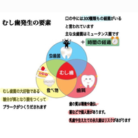 画像323