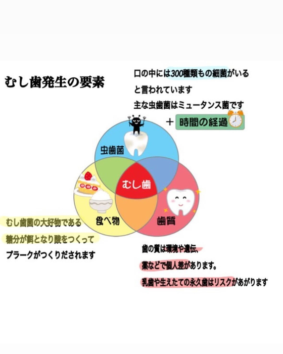 画像323