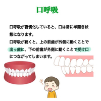 画像328