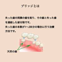 画像355