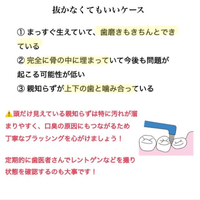 画像376