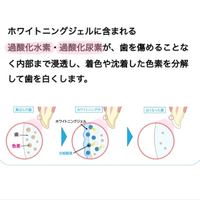 画像392