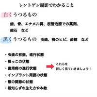 画像407