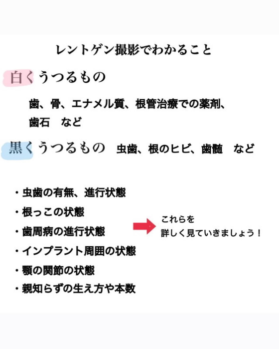 画像407