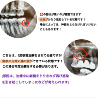 画像408