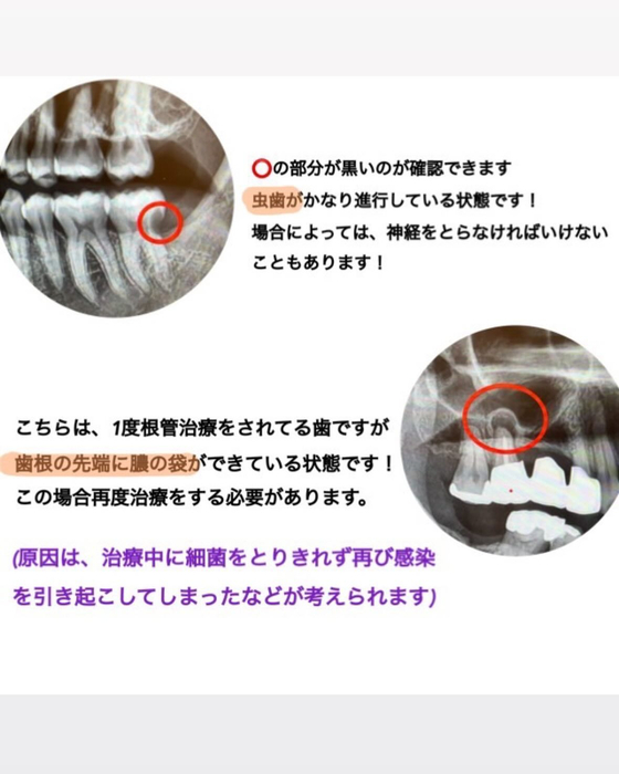 画像408