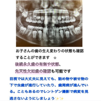 画像410