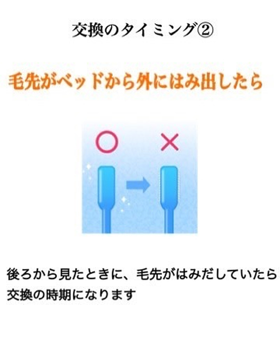 画像431