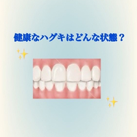 画像446