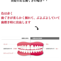 画像448
