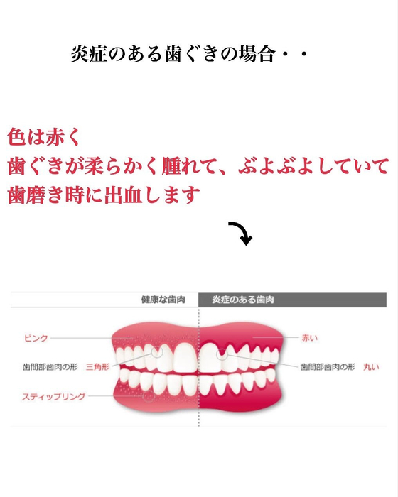 画像448
