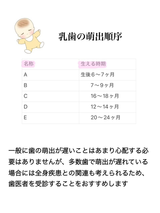 画像477