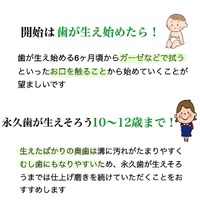 画像478