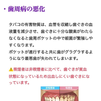 画像484