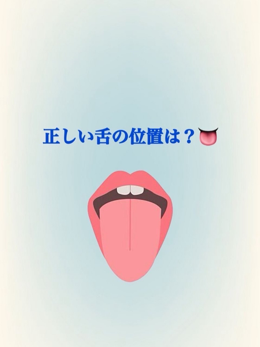 画像496