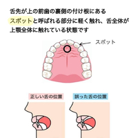画像497