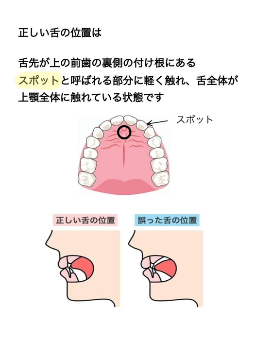 画像497