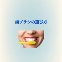 画像518
