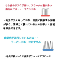 画像519