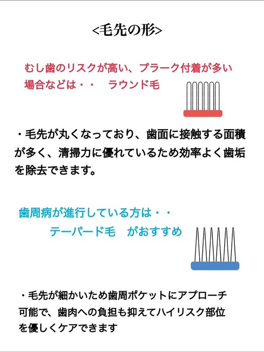 画像519