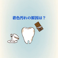 画像524