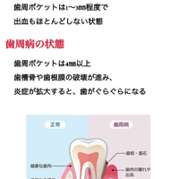 画像558