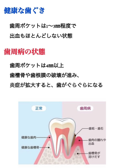 画像558